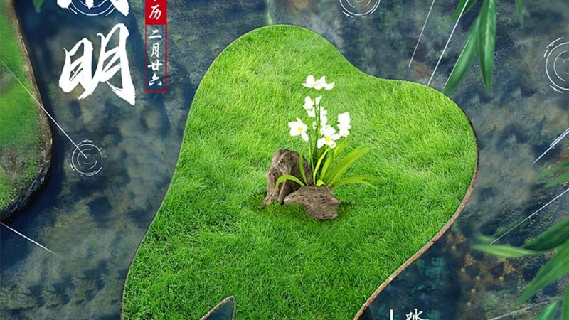 全瓷牙定制规格解析：如何挑选适合自己的完美牙齿